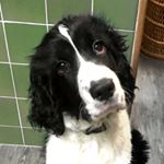 Profile Picture of Jennifer Devlin (@jd3vlin) on Instagram