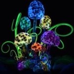 Profile Picture of Hailey Thornton (@haileygotsawesome) on Instagram