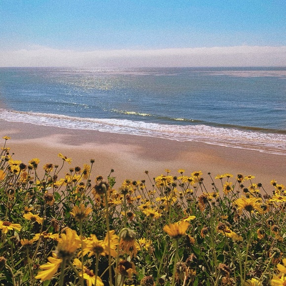 Profile Picture of Mary Hagins (@mhaginss) on Poshmark