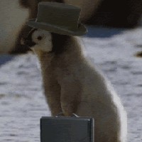 Jacob Oreiro - Quora Profile Picture of Jacob Oreiro (@jacob-oreiro-1) on Quora