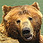 Profile Picture of Andy  Mo (@learningtotradeforex) on Flickr