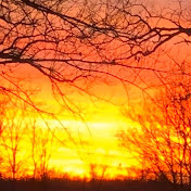 Profile Picture of M Fowler (@mfowler6502) on Youtube