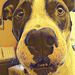 Profile Picture of Aaron Reinhold (@aaronr0079) on Pinterest