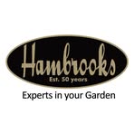 Profile Picture of Norman Hambrook (@Norman-Hambrook) on Facebook