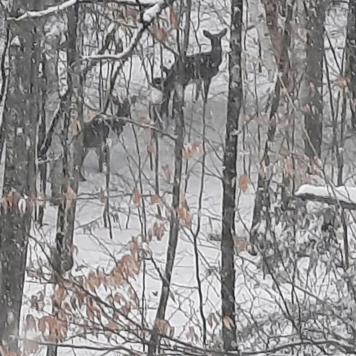 Profile Picture of Allan Hammond85 (@allanhammond85) on Tiktok