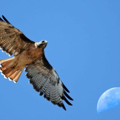 Profile Picture of Darren Keane (@IamDarrenkeane) on Twitter