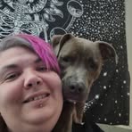 Profile Picture of Krystal Jenkins (@Krystal-Jenkins) on Facebook