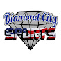 Profile Picture of Diamond City Sports (@@BWBLWiffle) on Tiktok