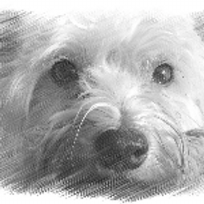 Profile Picture of Richard Edmonds (@Captain_Edmonds) on Twitter