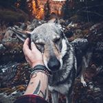 Profile Picture of Stefan Avramovic (@__.avramovic.__) on Instagram