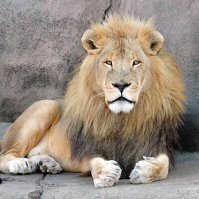 Profile Picture of Michael Kwiat (@@mehow61) on Twitter