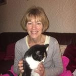 Profile Picture of Barbara Noonan (@noonanbarbara) on Instagram