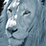 Profile Picture of Lori Carpenter (@pixelcarpenter) on Flickr