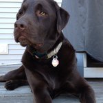 Profile Picture of Lindsay Hebert (@lindsay_hebert) on Instagram