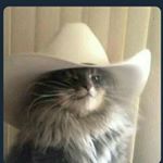 Profile Picture of Brandon bechtel (@altoplayer4life) on Instagram