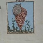 Profile Picture of Daniel Meunier (@meunier6461) on Instagram