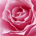 Profile Picture of 🎀Haley Garber🎀 (@pretty_inpink2014) on Instagram