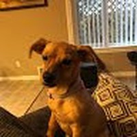 Profile Picture of Brian Hix (@brian-hix-4) on Quora