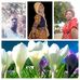 Profile Picture of Christopher Mandela (@christopher.mandela.71) on Facebook