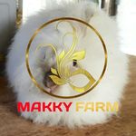 Profile Picture of Peternakan Kelinci Jember (@makkifarm) on Instagram