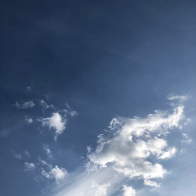 Profile Picture of Lisa Kolb (@Lisa_vonPisa) on Twitter