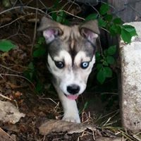 Profile Picture of Jason Bruno (@jason-bruno-4) on Quora