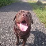 Profile Picture of Lewis Darby Edwards (@lewisthelegeng_008) on Instagram