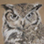 Profile Picture of Mark Sawyer (@mark.sawyer) on Flickr