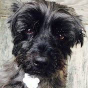 Profile Picture of Glen Craig (@glencraig1677) on Youtube