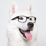 Profile Picture of Robin Grey (@robingrey5816) on Youtube