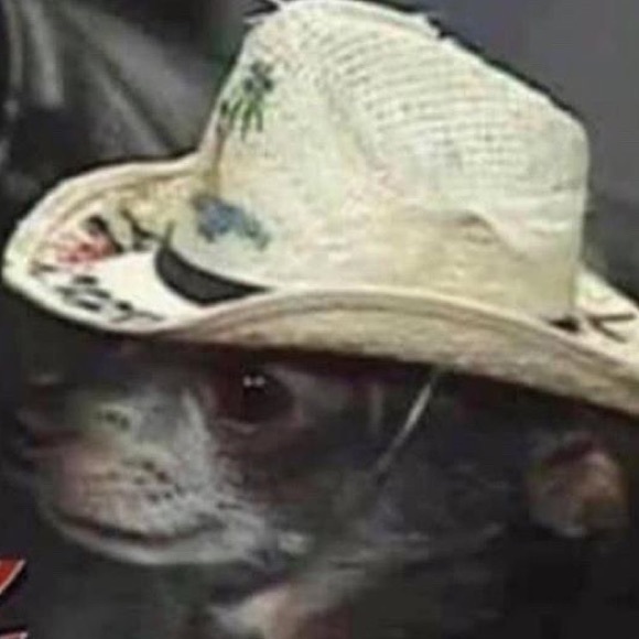 Profile Picture of Julian Serrano (@j_s3rran0) on Poshmark