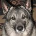 Profile Picture of Scott Collier (@scott.collier.313) on Facebook