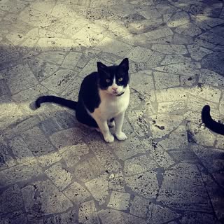 Profile Picture of Georgeta Gaspar (@georgetagaspar) on Instagram