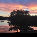 Profile Picture of Shannon Setzer (@besdcs) on Pinterest