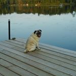 Profile Picture of George  DaCosta (@dacosta.george) on Instagram