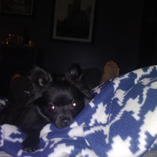 Profile Picture of Robert Alford (@robert.alford.1426) on Facebook