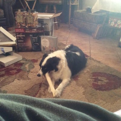 Profile Picture of Jerrie M . Jones (@JerrieMJones1) on Twitter