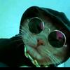Profile Picture of Tony Flint (@@tony_flint) on Tiktok
