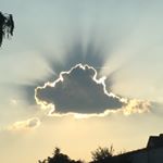 Profile Picture of Alex Strange (@insideno.29) on Instagram