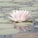 Hailey Alexa De Vera - Facebook Profile Picture of Hailey Alexa De Vera (@Hailey-Alexa-De-Vera) on Facebook