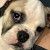 Profile Picture of Jesse Cavazos (@jcavazos0589) on Pinterest