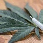 Profile Picture of David D. Reynolds (@reynolds__cannabis) on Instagram