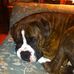 Profile Picture of Bill Mcdougall (@bill.mcdougall.399) on Facebook