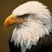 Profile Picture of Rick Daugherty (@rick.daugherty.1460) on Facebook