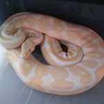 Profile Picture of Scott Harsh (@scott.harsh.37) on Instagram