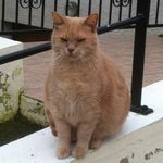 Profile Picture of Paul Demay (@paul.demay.31) on Instagram