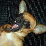 Profile Picture of Terry Wireman (@tbear63) on Pinterest