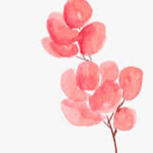 Profile Picture of Nifemi Olaegbe (@olaegbenifemi) on Poshmark