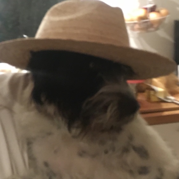Profile Picture of Sebastian Ardenne (@beeze2000) on Poshmark