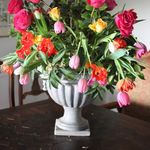 Profile Picture of Mary Lise Patterson (@mlp052158) on Instagram